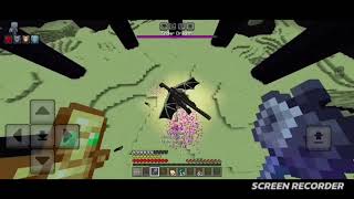 Me Vs Enderdragon
