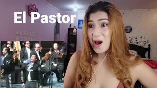 Mariachi Vargas De Tacalitlan || EL Pastor (reaction)