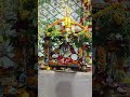 Jai maa adishakti Jai maa gauri🙏🌺#trending #viral #youtubeshorts #shorts #maa #jatra