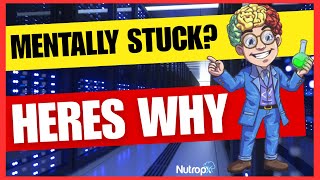 How to Train Your Brain with Neuroplasticity & Epigenetics