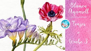 Blumen malen in Aquarell - Online Kurs im St. Spiritus Greifswald - Woche 3 - TEASER