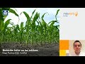 Nutrición foliar en los cultivos - Diego Martínez