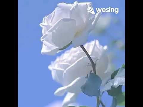 Buka mata buka  Hatimu Broery M.Vokal Nanik S.Video ini dari WeSing