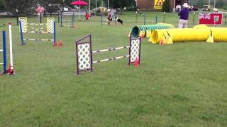 Angus Jumpers 1