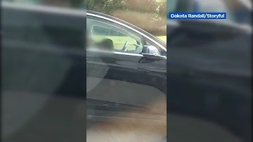 Raw: Tesla driver apparently caught asleep at the wheel in Massachusetts | ABC7