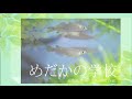 めだかの学校 童謡・唱歌 懐かしい日本の歌 歌詞付き 弾き語り 川内奈保子