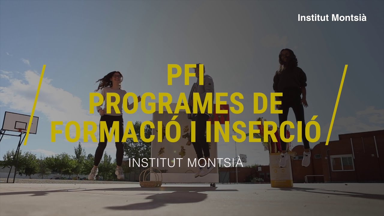 Institut Montsià - Programes de formació i inserció (PFI)