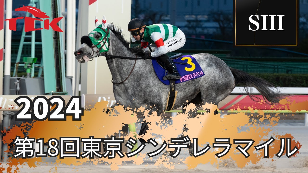 東京 シンデレラ マイル