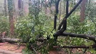 Strong morning storm leaves scattered damage in its wake