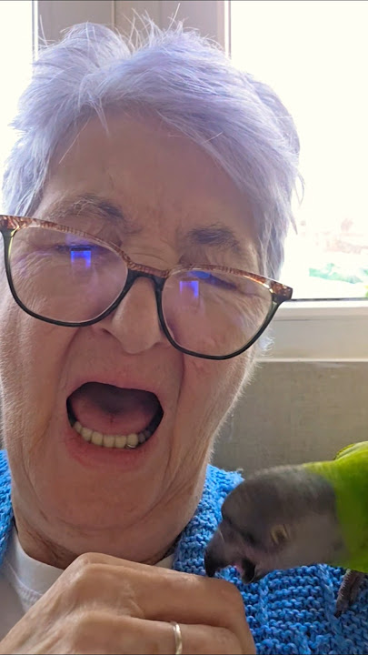 SVE ME IZUJEDA... #bakinakuhinja #papagajsenegalac