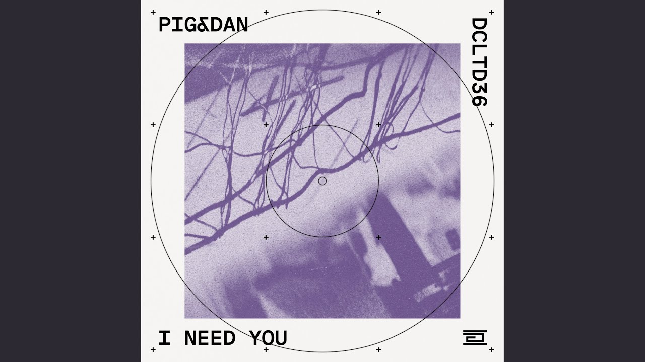 洋楽 Pig & Dan - I Need You 12\