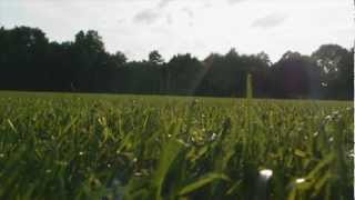 Grass Man - Free Footage - Full HD 1080p