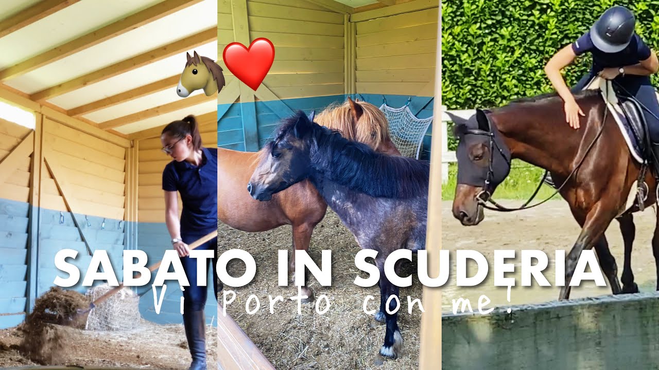 Un sabato con me in scuderia 🐴 (lezione, pulizia box, mangime…)