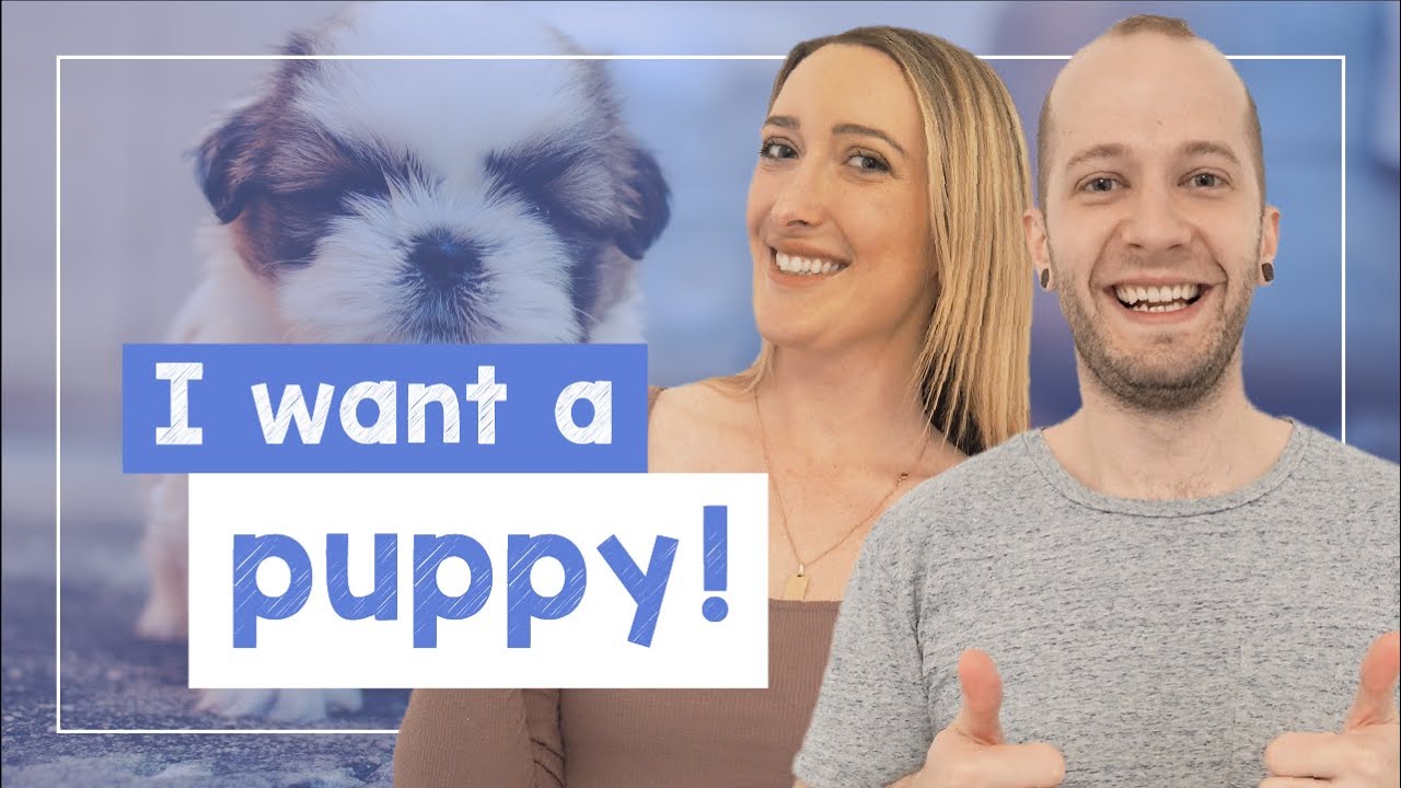 Native Speaker Dialogue: I Want a Puppy! - B2 - [with Brian & Emily]