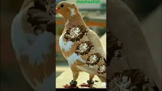 naat #авто2026 #автоновости #автообзор #новыйавтомобиль #будущееавто
