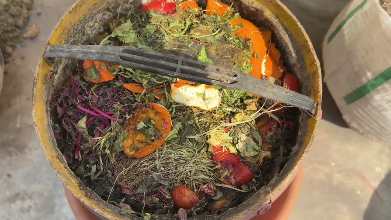 Kitchen waste se best compost 