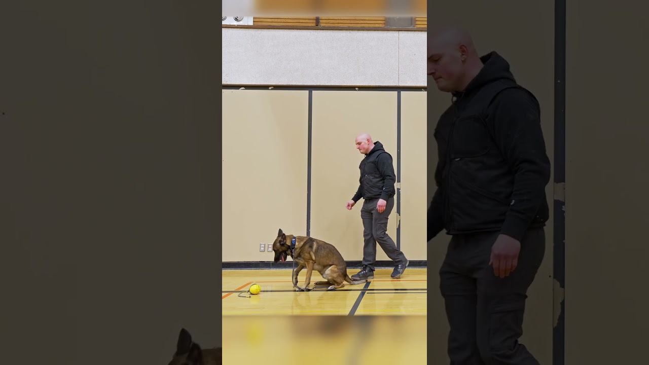 Даже на скользком полу в окружении орущих детей Олрик все равно остается каким-то тупицей.