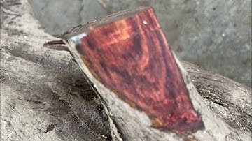 GL 3 gốc trắc dây krongpa 80kg đục chim chóc hoa lá cành và Đêco quán cafe cực đẹp giá cực rẻ ạ