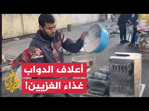 سكان غزة يطحنون أعلاف الحيوانات للحصول على الطعام