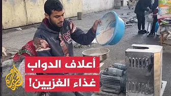 سكان غزة يطحنون أعلاف الحيوانات للحصول على الطعام