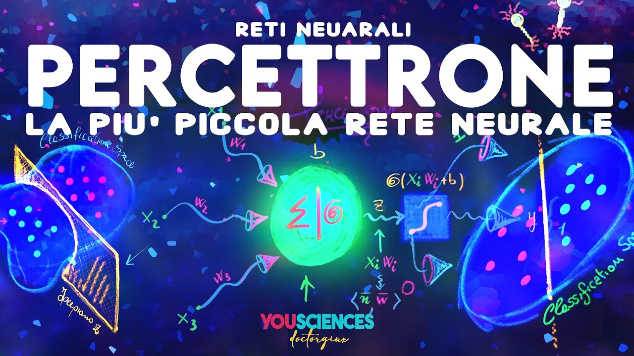 Il PERCETTRONE: La più Semplice delle RETI NEURALI - Classificatore Binario