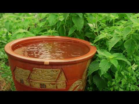 Clay Pot Rain Ambience 4K | Peaceful Rainy Day Sounds for Relaxation