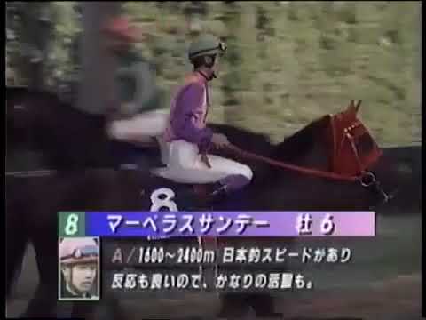 宝塚記念 　本馬場入場　　YUTAKA TAKE
