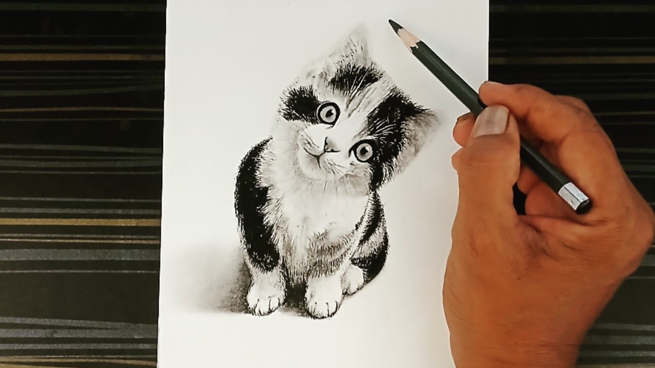 How to draw a cute kitten by pencil with easy ways., image size:1280x720