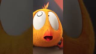 We had to wake him up #chicky | Chicky Cartoon in English for kids