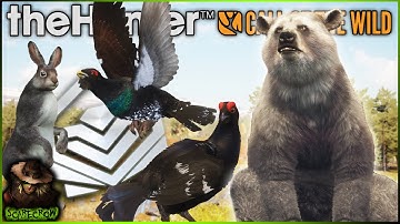 The Best Spot On Finland? Diamond Capercaillie, Black Grouse, Mountain Hare & More! Call of the wild