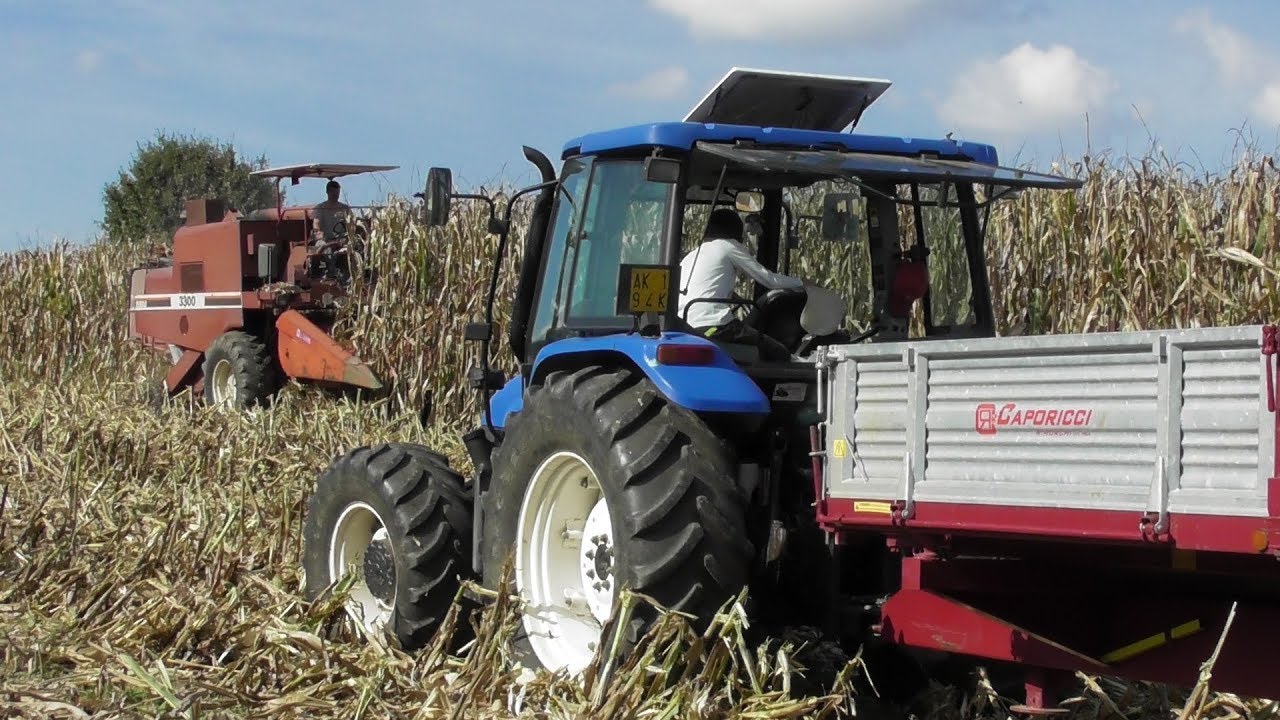 [TREBBIATURA MAIS 2019] FIATAGRI 3300 - NEW HOLLAND TL 100 -NEW HOLLAND TCE 50