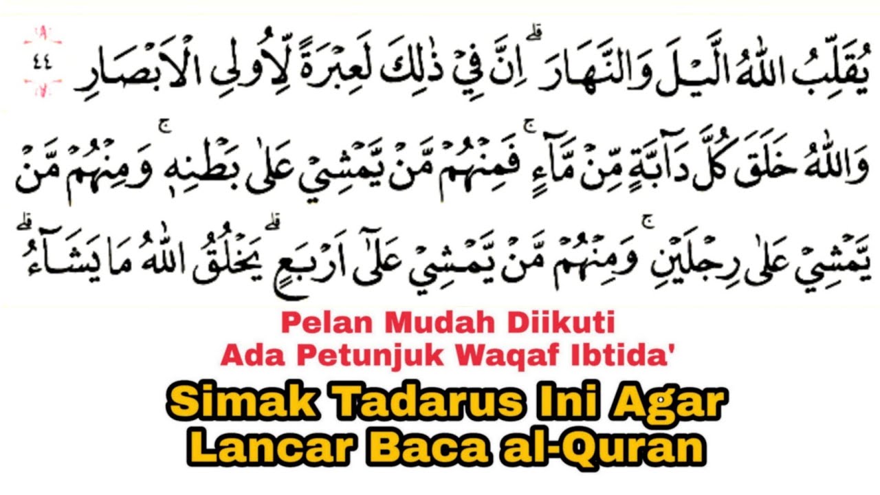 Tadarus Surah An-Nur Verses 44-64 with Color-Coded Length \u0026 Nasalization Marks for Fluent Quran R...