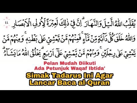 Kichkintoylar pantiesda