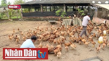 Hà Nội yêu cầu giám sát chặt cúm A/H5N1 | Tin tức y tế sáng 17/3