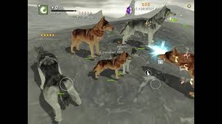 [Wolf Online 6.2.0] Showcase My Script (another account)