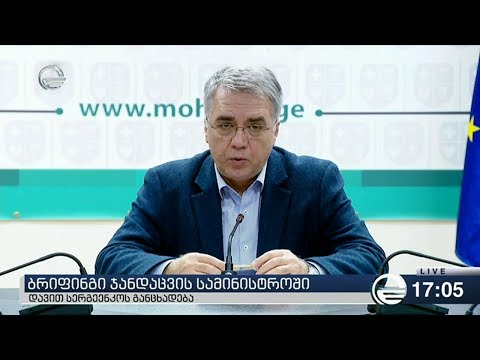 დავით სერგეენკოს ბრიფინგი