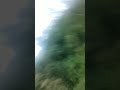 dari petani madu jeme lahat diatas ketinggian