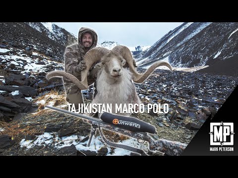 Tajikistan Giant Marco Polo Sheep | Mark Peterson Hunting