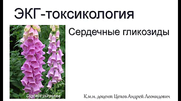 ЭКГ-токсикология: гликозиды