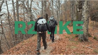 Lost In The Autumn Woods