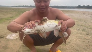 sinh tồn 24H/ GÀ RỪNG VÀ CÁ LĂNG VÀNG KHỦNG