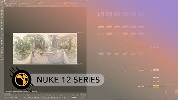Nuke 12.1 | Cara VR GPU Caching