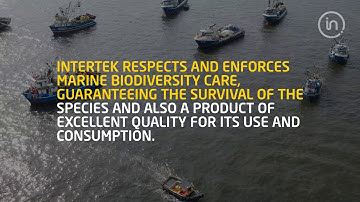 Marine biodiversity - Intertek