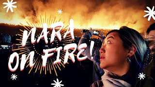 mountain fire: nara japan's wakakusa yamayaki festival