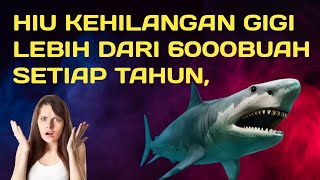 gigi hiu barunya tumbuh dalam waktu 24 jam. #faktadunia #beritaviral