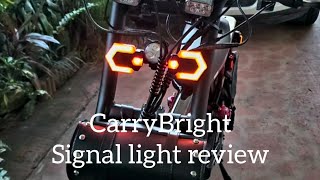 CarryBright signal light review