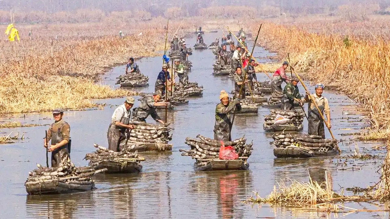 日入1000却无人敢干！中国最赚钱的体力职业，年轻人为何宁可低薪也不碰？