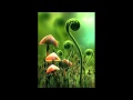 Miniature de la vidéo de la chanson Mushrooms (Justin Martin Remix)