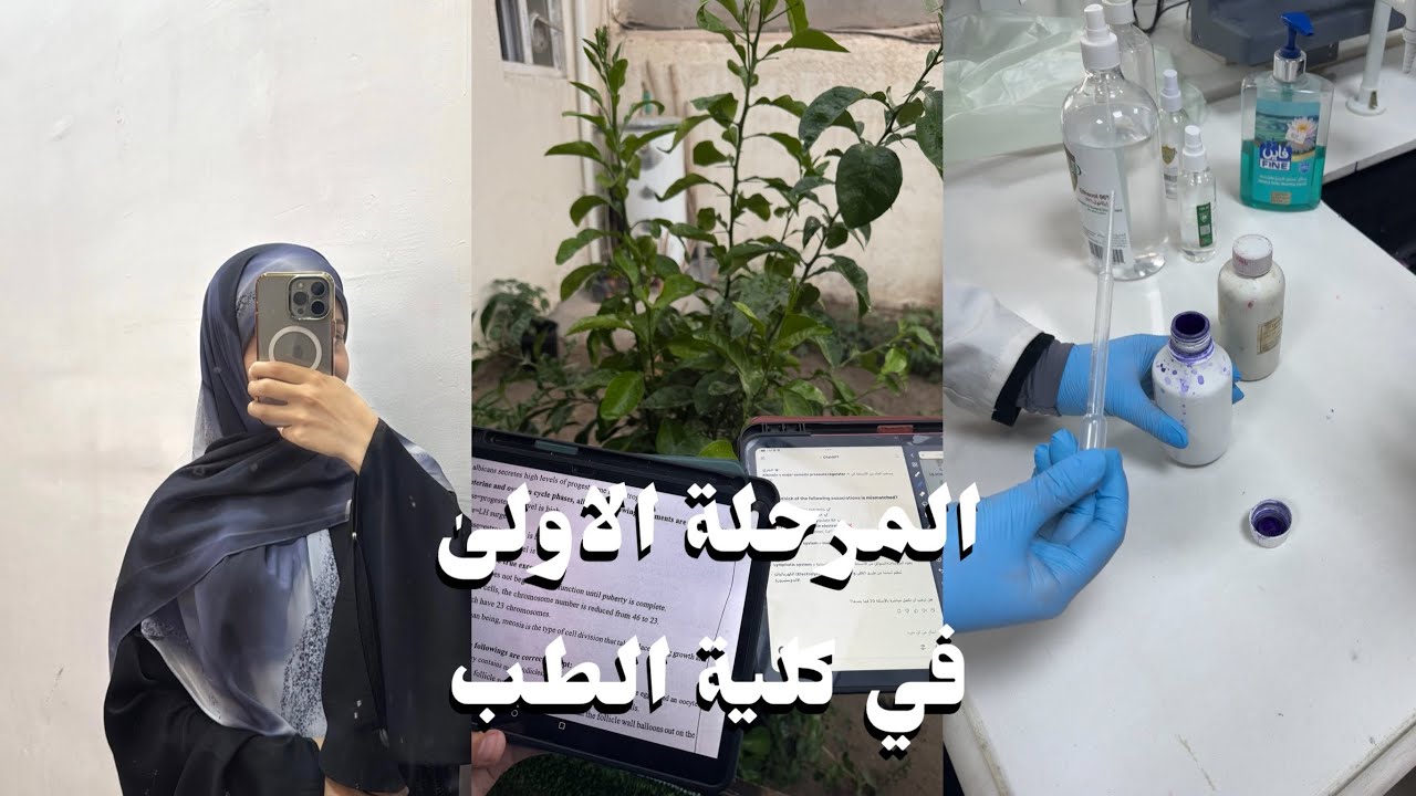 ايام المرحلة الاولىٰ طب كربلاء ݁𖥔 𐙚 ˖ ݁