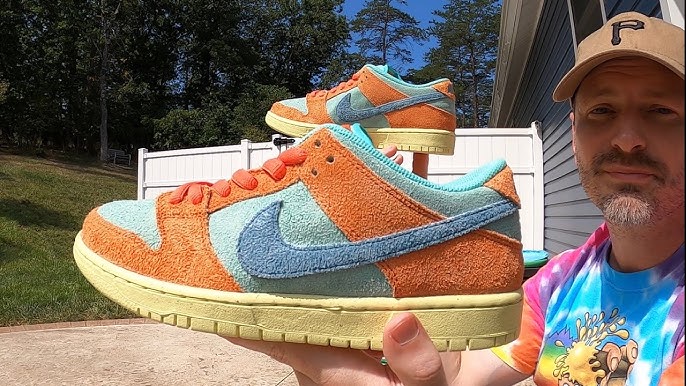 Nike SB Dunk Low Pro: Dictionary of Colour